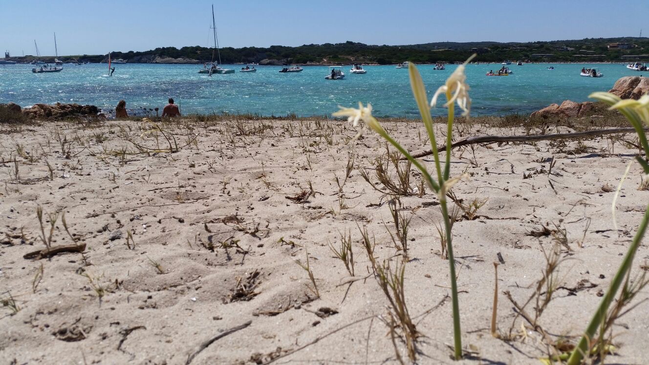 TOUR ARCIPELAGO CORSO IN SPEEDYBOAT